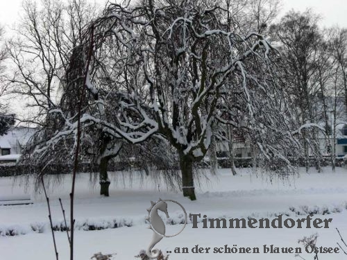 Winterfreuden