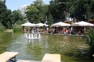 Parkfest am Seepferdchenbrunnen
