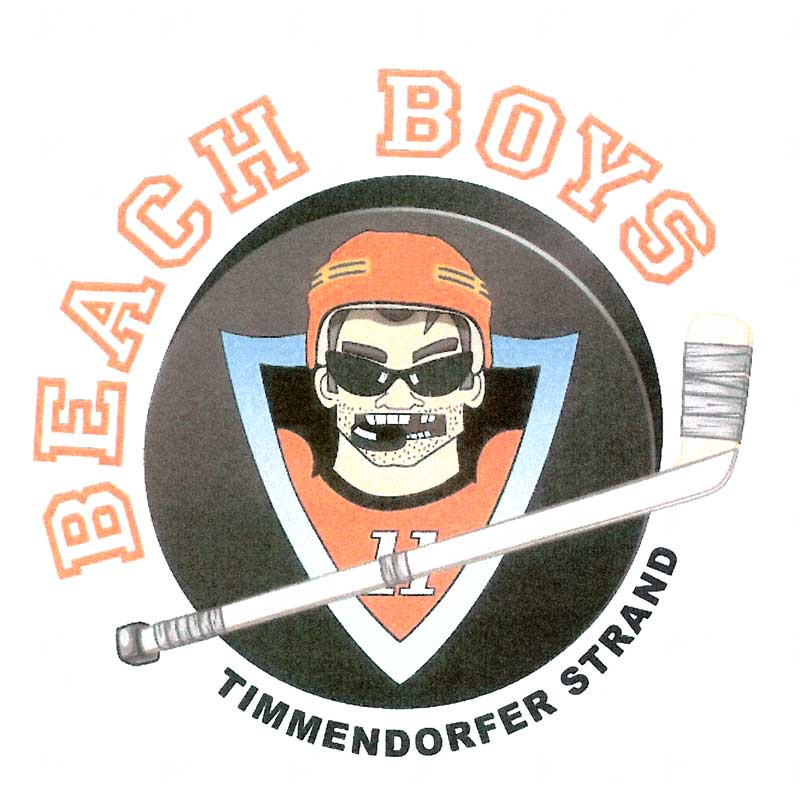 Beach Boys mit neuem Logo und neuem Werbekonzept